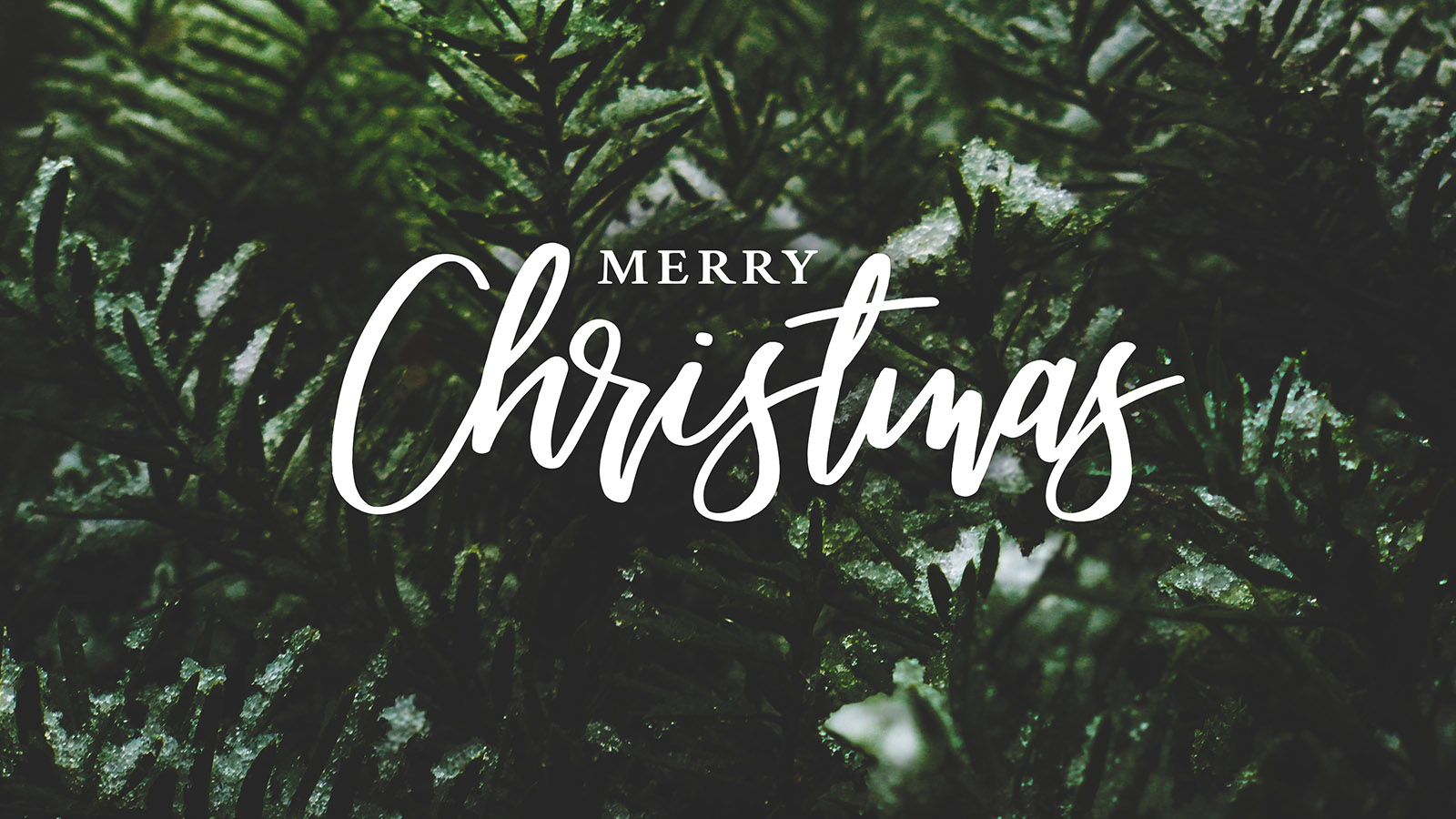 Christmas Celebrations